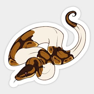 Pied Ball Python Sticker